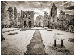 Dryburgh Abbey #I